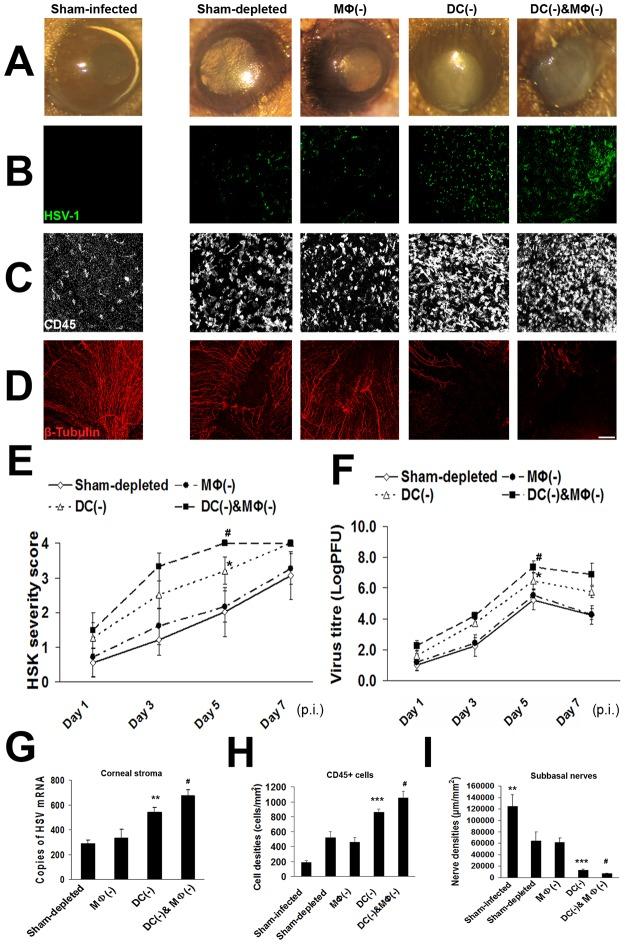 https://cdn.ncbi.nlm.nih.gov/pmc/blobs/b46e/4557979/f6634dd1df08/pone.0137123.g003.jpg