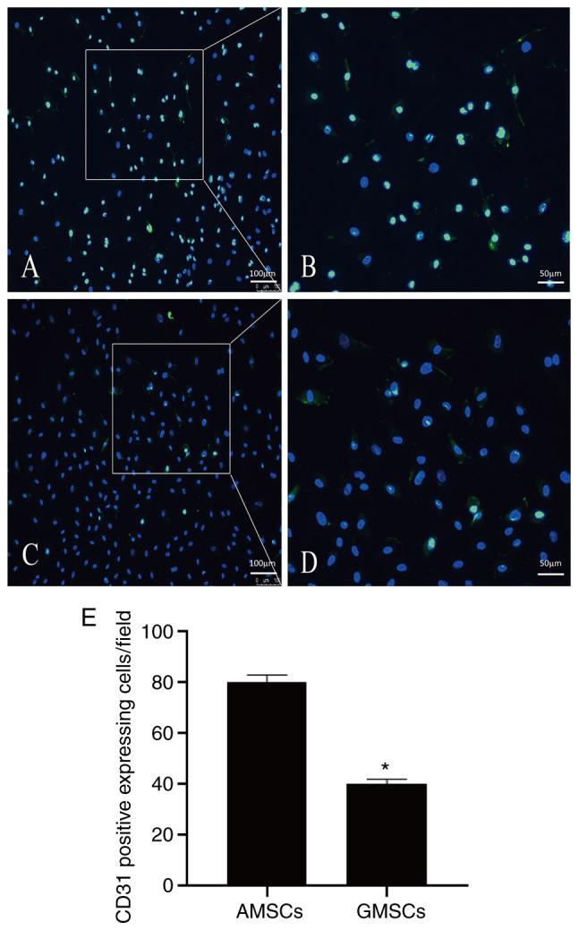 https://cdn.ncbi.nlm.nih.gov/pmc/blobs/b46e/8524764/5ffa5a3d89bd/etm-22-06-10851-g07.jpg