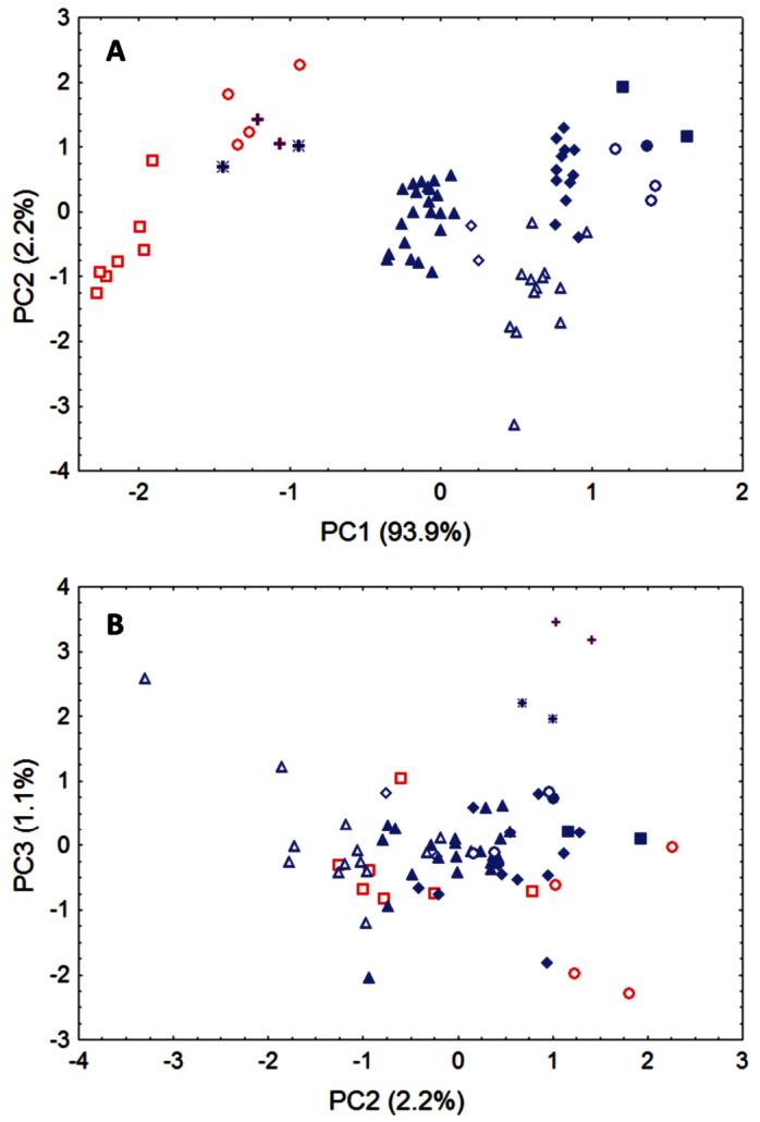 https://cdn.ncbi.nlm.nih.gov/pmc/blobs/b471/3690973/d47a1905374f/ZooKeys-285-089-g006.jpg