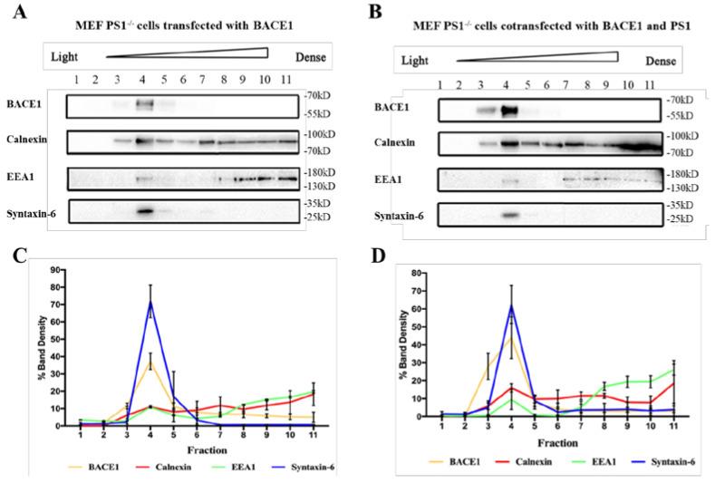 https://cdn.ncbi.nlm.nih.gov/pmc/blobs/b471/9782474/3b0cf59d8087/ijms-23-16151-g002.jpg