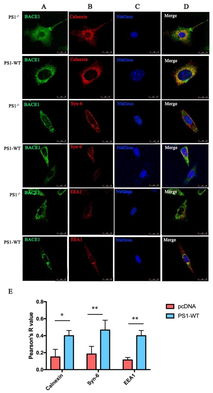 https://cdn.ncbi.nlm.nih.gov/pmc/blobs/b471/9782474/3b7577122921/ijms-23-16151-g003.jpg