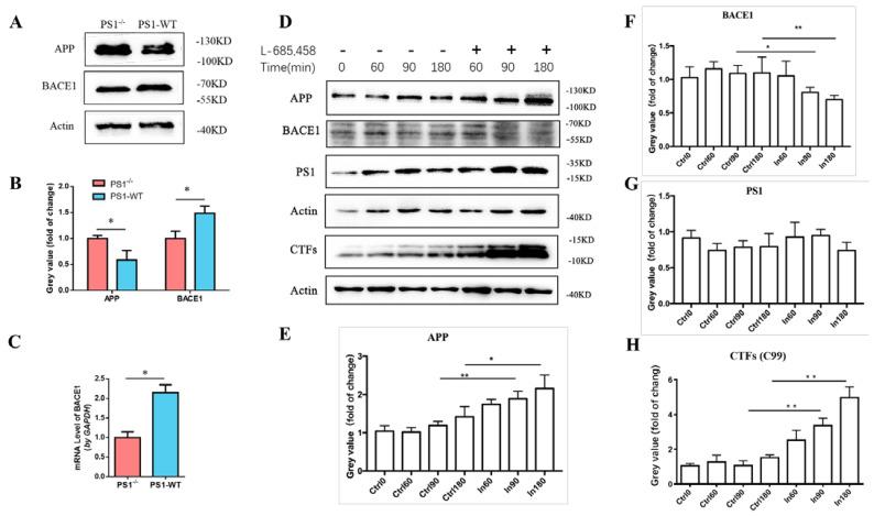 https://cdn.ncbi.nlm.nih.gov/pmc/blobs/b471/9782474/626cf042ae1a/ijms-23-16151-g001.jpg