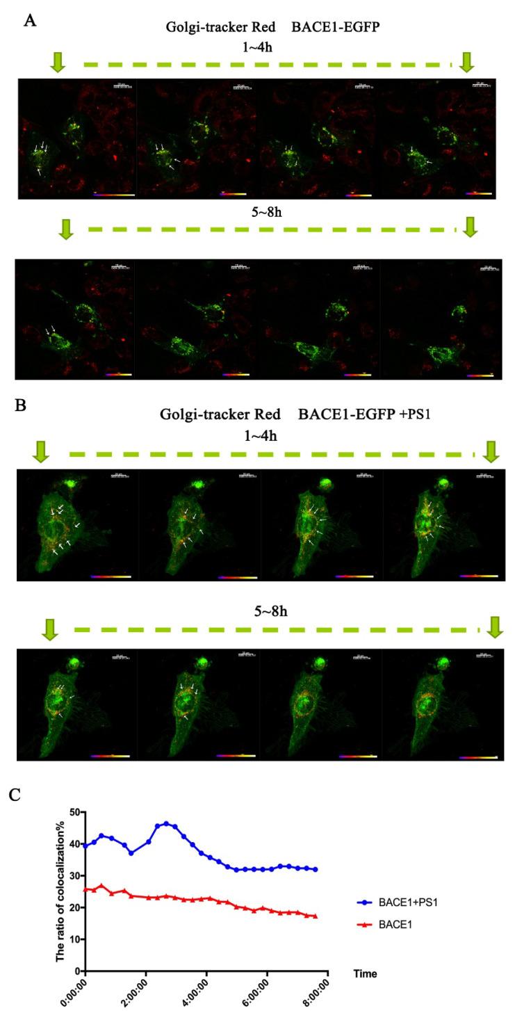 https://cdn.ncbi.nlm.nih.gov/pmc/blobs/b471/9782474/74dcd8554074/ijms-23-16151-g004.jpg