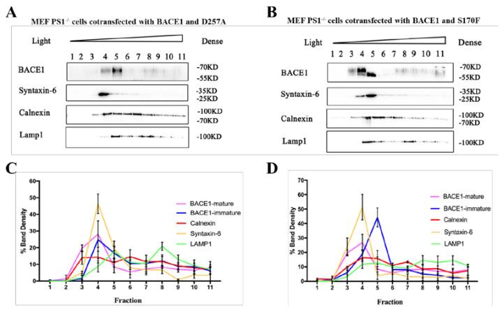 https://cdn.ncbi.nlm.nih.gov/pmc/blobs/b471/9782474/945ababb2232/ijms-23-16151-g006.jpg