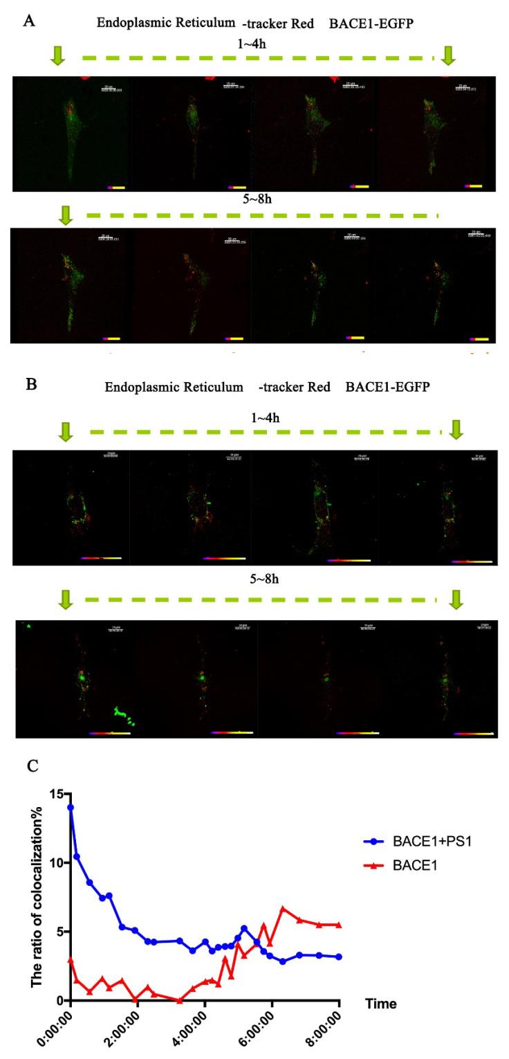 https://cdn.ncbi.nlm.nih.gov/pmc/blobs/b471/9782474/c9783e737c31/ijms-23-16151-g005.jpg