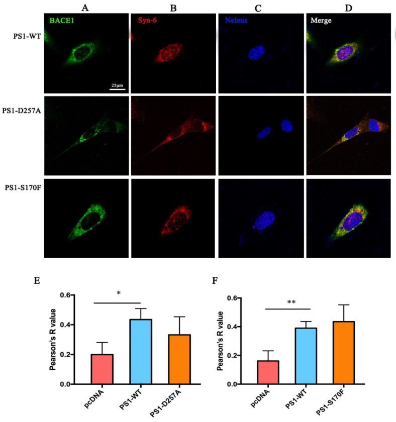 https://cdn.ncbi.nlm.nih.gov/pmc/blobs/b471/9782474/ddb230a1b43a/ijms-23-16151-g008.jpg