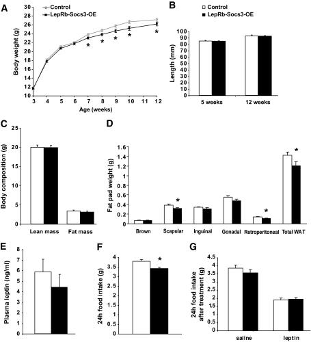 https://cdn.ncbi.nlm.nih.gov/pmc/blobs/b472/2844837/34b150dbb64b/zdb0041060650005.jpg