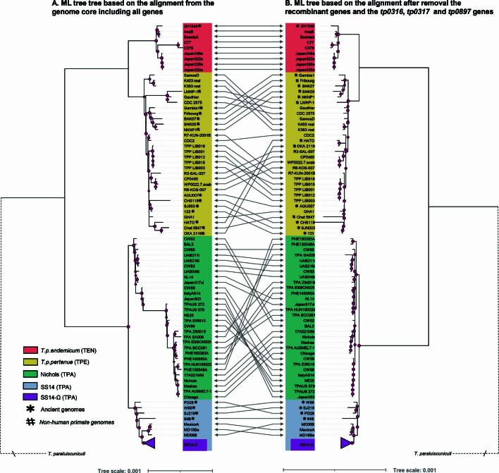 https://cdn.ncbi.nlm.nih.gov/pmc/blobs/b475/10917687/8927af8789a9/41586_2023_6965_Fig5_ESM.jpg
