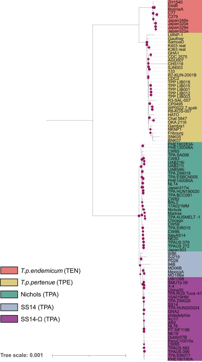 https://cdn.ncbi.nlm.nih.gov/pmc/blobs/b475/10917687/8fdf9702cc23/41586_2023_6965_Fig6_ESM.jpg