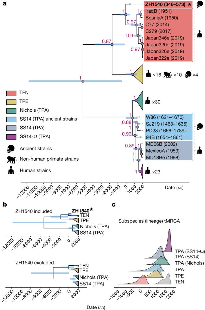 https://cdn.ncbi.nlm.nih.gov/pmc/blobs/b475/10917687/ec283195a968/41586_2023_6965_Fig3_HTML.jpg