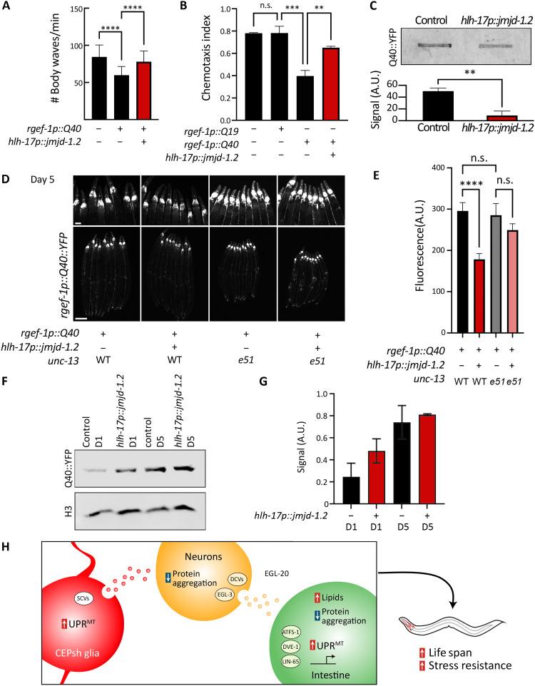 https://cdn.ncbi.nlm.nih.gov/pmc/blobs/b477/10575585/c427611e70d9/sciadv.adi1411-f6.jpg