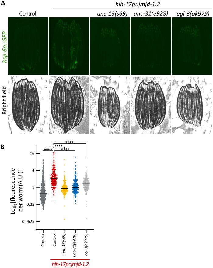 https://cdn.ncbi.nlm.nih.gov/pmc/blobs/b477/10575585/ed5a30a7f0db/sciadv.adi1411-f4.jpg