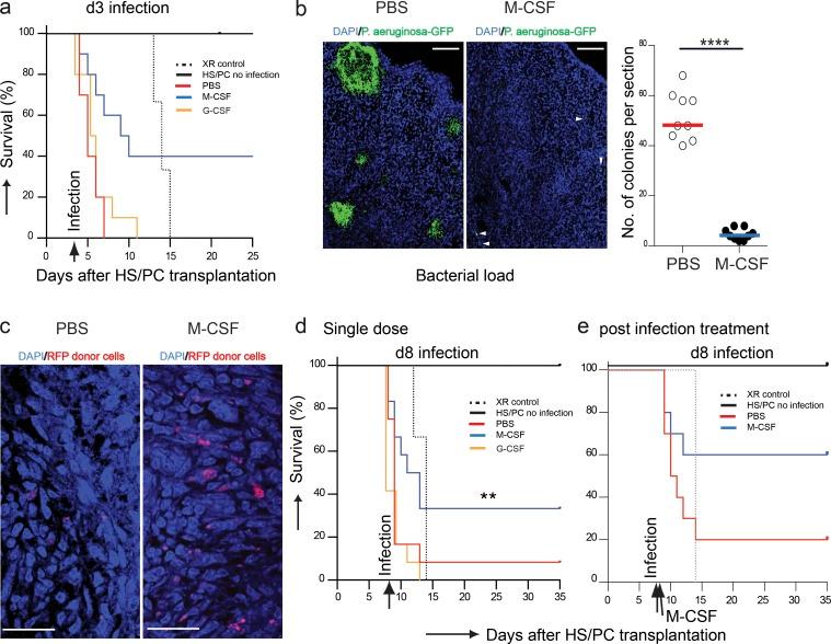 https://cdn.ncbi.nlm.nih.gov/pmc/blobs/b477/5068229/5e7cb46cc977/JEM_20151975_Fig4.jpg