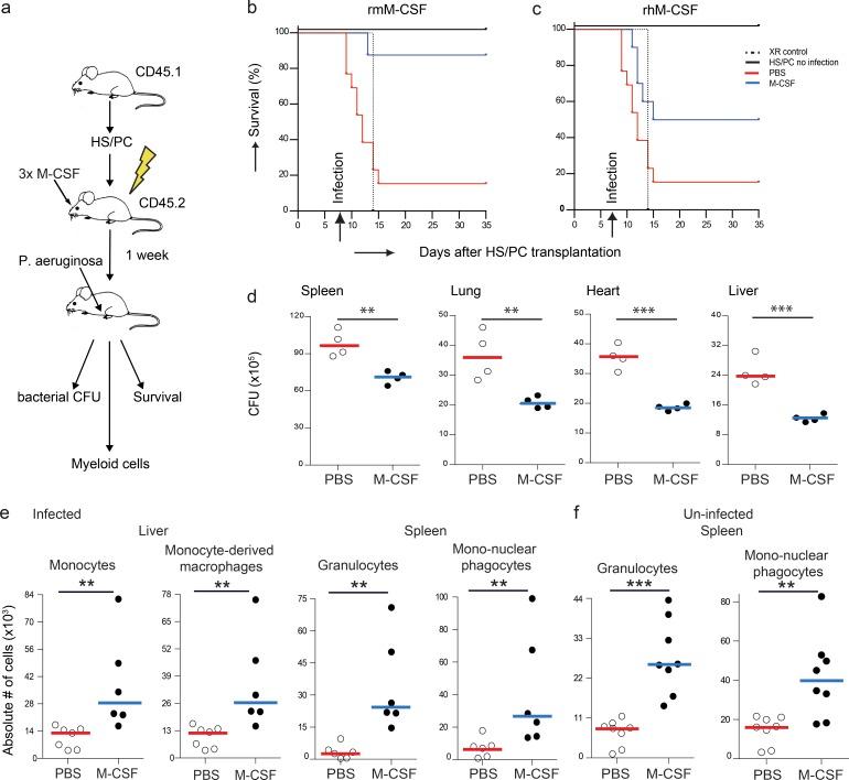 https://cdn.ncbi.nlm.nih.gov/pmc/blobs/b477/5068229/c502fc042876/JEM_20151975_Fig1.jpg