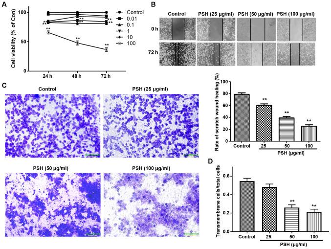 https://cdn.ncbi.nlm.nih.gov/pmc/blobs/b478/7891836/8314d130e094/IJMM-47-04-04863-g00.jpg