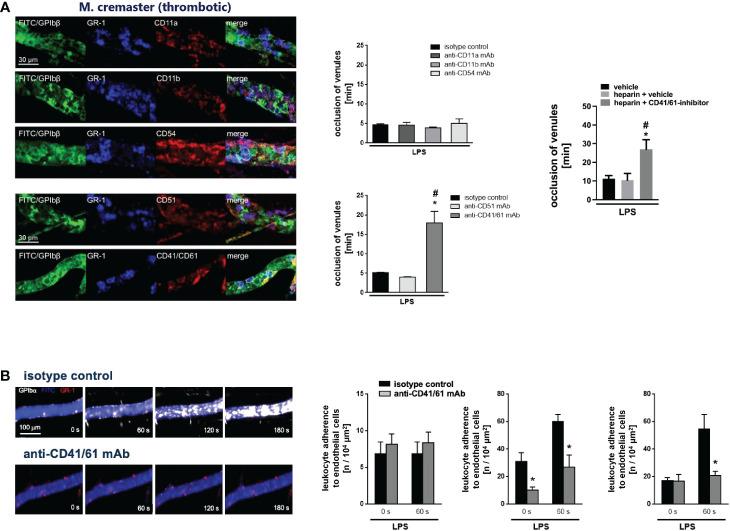 https://cdn.ncbi.nlm.nih.gov/pmc/blobs/b478/9945350/b8763d191b85/fimmu-14-1078005-g003.jpg