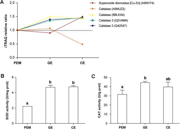 https://cdn.ncbi.nlm.nih.gov/pmc/blobs/b479/4363690/89211bcae24b/pone.0119987.g006.jpg