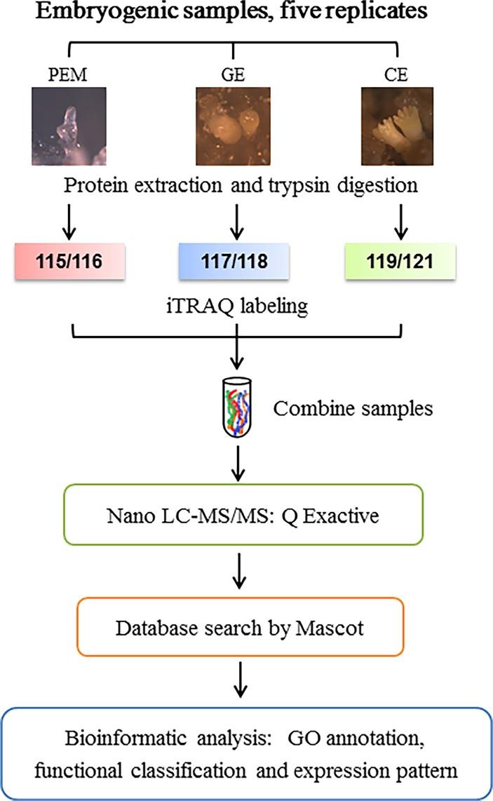 https://cdn.ncbi.nlm.nih.gov/pmc/blobs/b479/4363690/aa728a3826ce/pone.0119987.g002.jpg