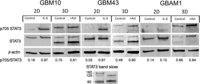 https://cdn.ncbi.nlm.nih.gov/pmc/blobs/b479/5863989/a4bfe83674b4/pone.0194183.g005.jpg