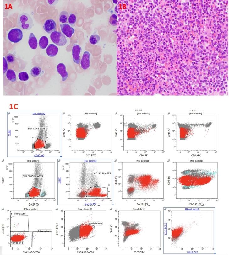 https://cdn.ncbi.nlm.nih.gov/pmc/blobs/b479/8958533/5e506ef54cb9/gr1.jpg