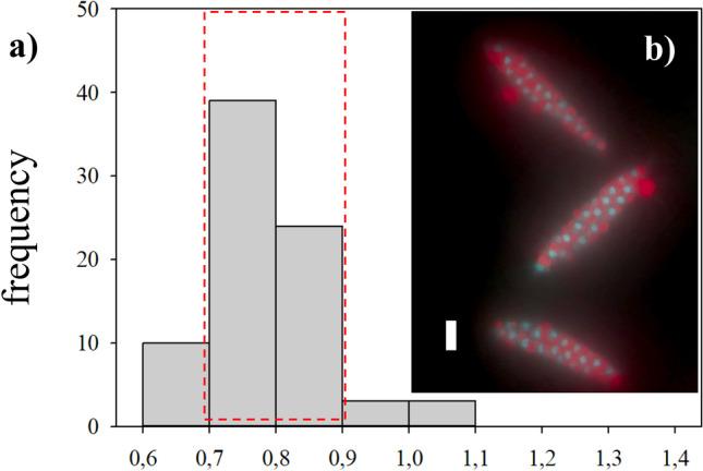 https://cdn.ncbi.nlm.nih.gov/pmc/blobs/b47b/9385784/39806346d687/10126_2022_10137_Fig6_HTML.jpg