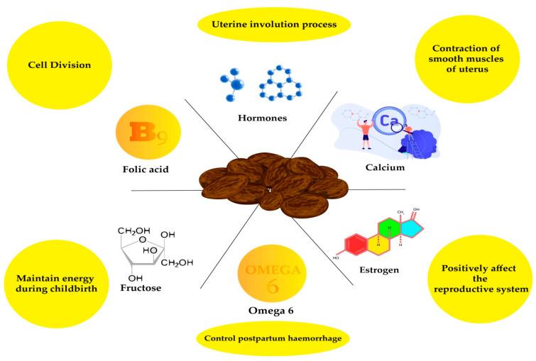 https://cdn.ncbi.nlm.nih.gov/pmc/blobs/b47e/8235103/30012b6ba042/metabolites-11-00408-g002.jpg
