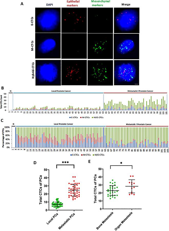 https://cdn.ncbi.nlm.nih.gov/pmc/blobs/b47f/12247201/b0fafff47afe/12935_2025_3888_Fig1_HTML.jpg