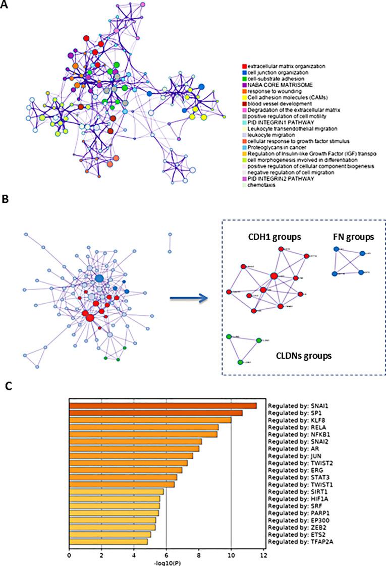 https://cdn.ncbi.nlm.nih.gov/pmc/blobs/b47f/12247201/f3fed50a91bb/12935_2025_3888_Fig4_HTML.jpg