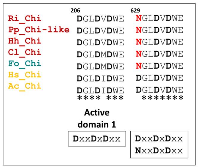 https://cdn.ncbi.nlm.nih.gov/pmc/blobs/b47f/8301361/bd2f0a337b16/biomedicines-09-00819-g011.jpg