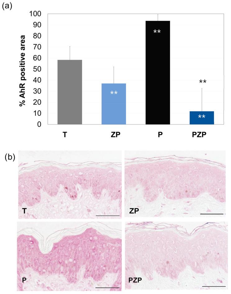 https://cdn.ncbi.nlm.nih.gov/pmc/blobs/b484/10887869/363341f9c02a/cimb-46-00099-g003.jpg