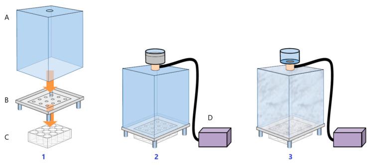 https://cdn.ncbi.nlm.nih.gov/pmc/blobs/b484/10887869/6384b52ad055/cimb-46-00099-g001.jpg