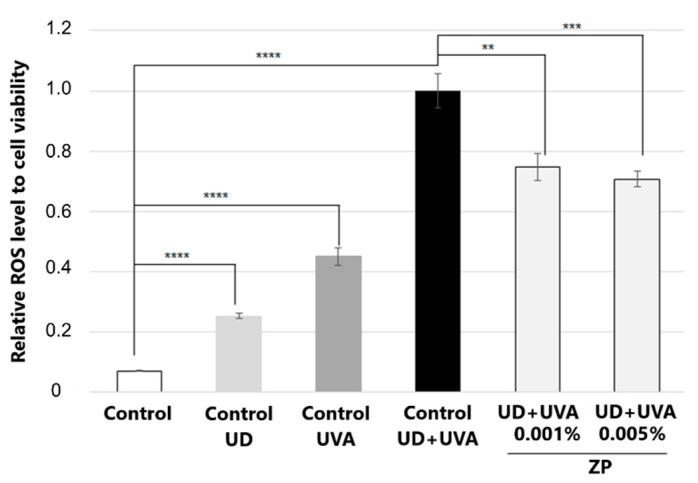 https://cdn.ncbi.nlm.nih.gov/pmc/blobs/b484/10887869/7999839b1aca/cimb-46-00099-g007.jpg