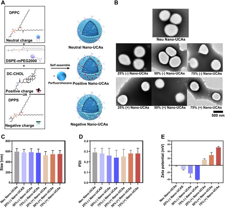 https://cdn.ncbi.nlm.nih.gov/pmc/blobs/b486/9733633/8c2c571e7ff5/IJN-17-5933-g0002.jpg