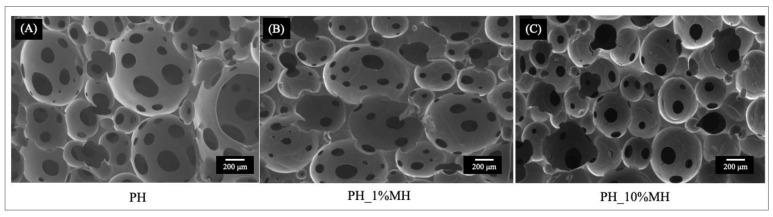 https://cdn.ncbi.nlm.nih.gov/pmc/blobs/b488/10298319/b5fe115a1b3c/gels-09-00459-g006.jpg