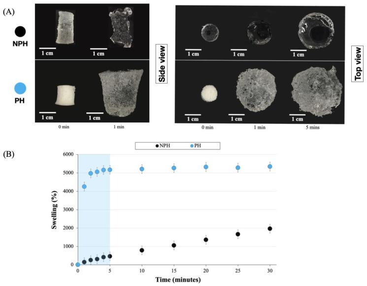 https://cdn.ncbi.nlm.nih.gov/pmc/blobs/b488/10298319/bebb26a8b6ac/gels-09-00459-g003.jpg