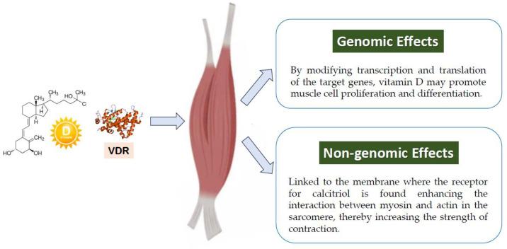 https://cdn.ncbi.nlm.nih.gov/pmc/blobs/b488/12114196/87c7527876da/nutrients-17-01655-g001.jpg