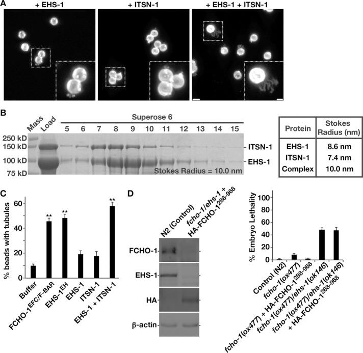 https://cdn.ncbi.nlm.nih.gov/pmc/blobs/b489/5007088/1b617a2e2f4f/2675fig6.jpg