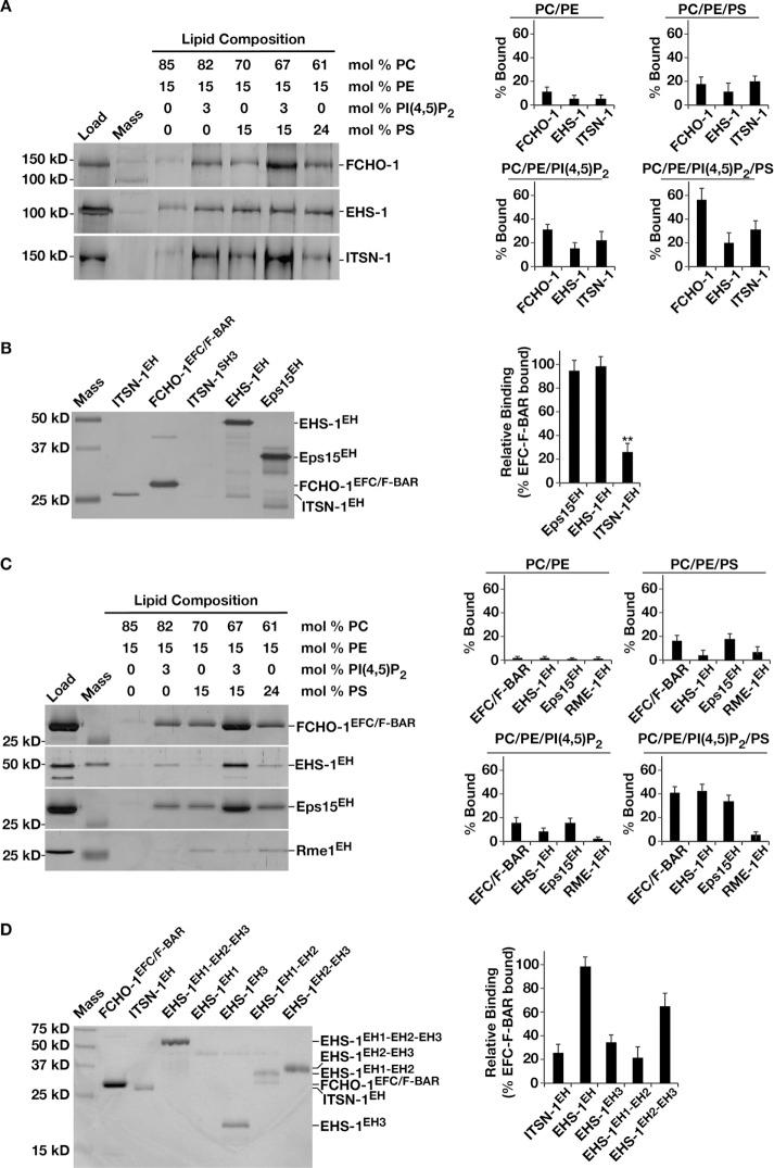 https://cdn.ncbi.nlm.nih.gov/pmc/blobs/b489/5007088/bfde8fbd7086/2675fig2.jpg