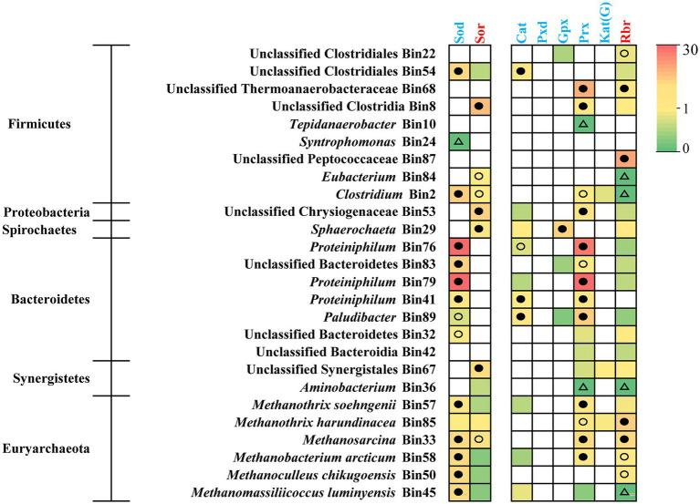 https://cdn.ncbi.nlm.nih.gov/pmc/blobs/b489/9853277/5dff04a662b7/fmicb-13-1098814-g006.jpg