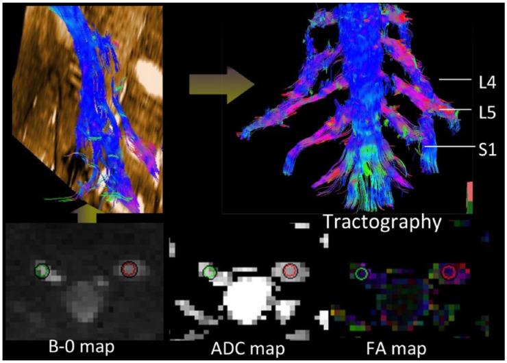 https://cdn.ncbi.nlm.nih.gov/pmc/blobs/b48a/9905022/17119b8c3795/10.1177_17562864221150540-fig2.jpg