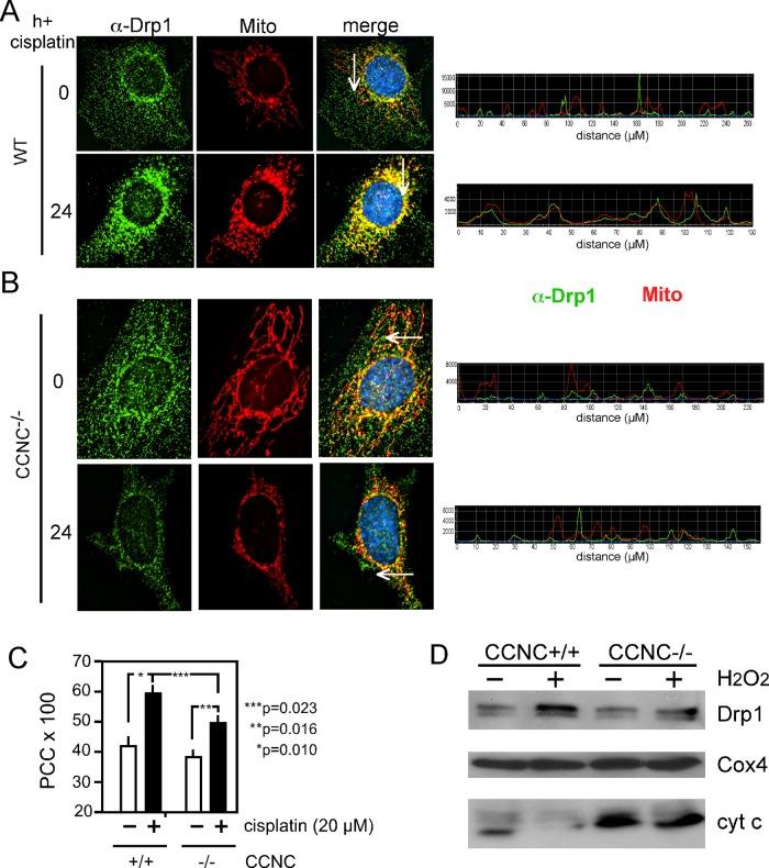 https://cdn.ncbi.nlm.nih.gov/pmc/blobs/b48c/4357504/44904527f63b/1030fig5.jpg