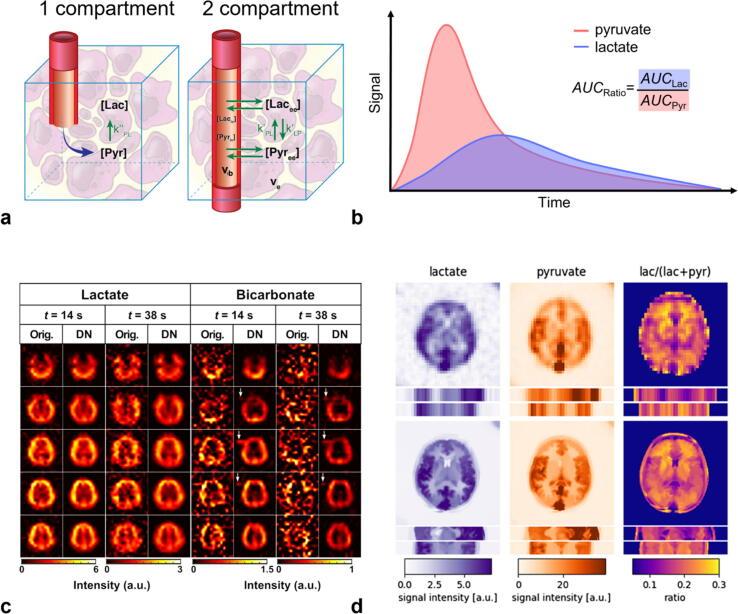 https://cdn.ncbi.nlm.nih.gov/pmc/blobs/b48d/11910262/40a2c49927a3/gr4.jpg