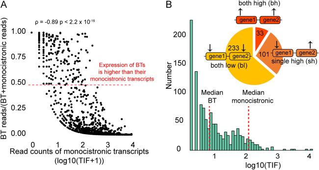 https://cdn.ncbi.nlm.nih.gov/pmc/blobs/b48d/8573964/cfda2b606062/msystems.01002-20-f0001.jpg