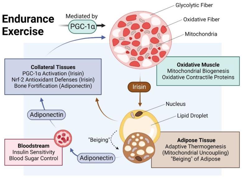 https://cdn.ncbi.nlm.nih.gov/pmc/blobs/b48e/10451851/8d597041ec97/bioengineering-10-00956-g002.jpg