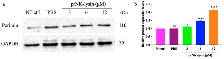https://cdn.ncbi.nlm.nih.gov/pmc/blobs/b48e/11946118/6b50d775a2ce/molecules-30-01234-g007.jpg