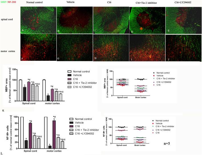 https://cdn.ncbi.nlm.nih.gov/pmc/blobs/b490/10880193/9064cf3718b1/fphar-15-1290128-g003.jpg