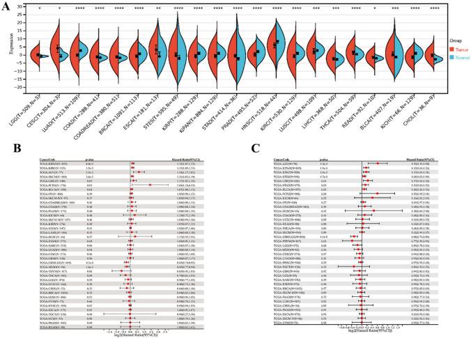 https://cdn.ncbi.nlm.nih.gov/pmc/blobs/b493/11793418/04c266e5d7dd/432_2024_5640_Fig1_HTML.jpg