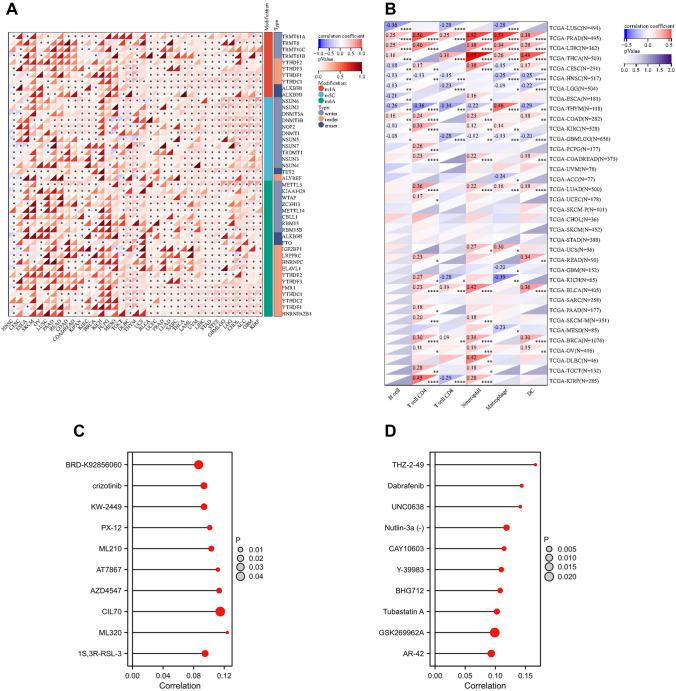 https://cdn.ncbi.nlm.nih.gov/pmc/blobs/b493/11793418/3aca4d6893bd/432_2024_5640_Fig6_HTML.jpg