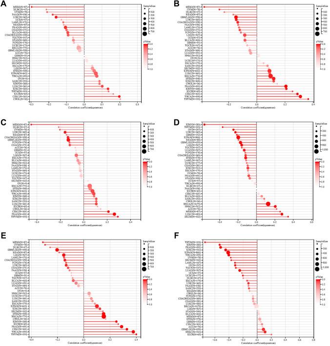 https://cdn.ncbi.nlm.nih.gov/pmc/blobs/b493/11793418/66c86651e902/432_2024_5640_Fig3_HTML.jpg