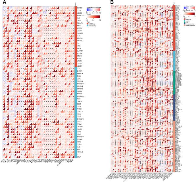 https://cdn.ncbi.nlm.nih.gov/pmc/blobs/b493/11793418/d48caf548f5a/432_2024_5640_Fig5_HTML.jpg